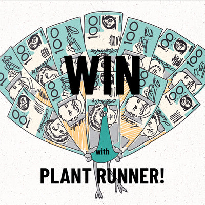 Plant Runner Competition!