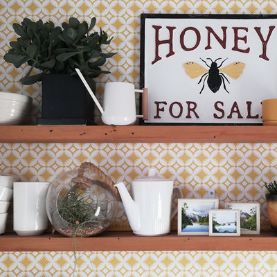 Lockdown Blog - Ramblings of a Plant Lover