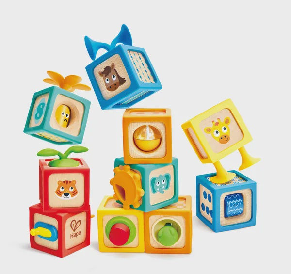 Hape Delightful Discovery Blocks