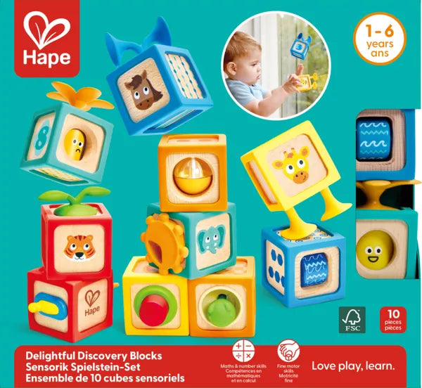Hape Delightful Discovery Blocks