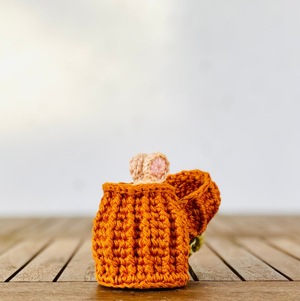 Crochet Mini Mouse In A Pumpkin