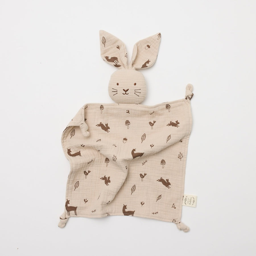 Organic Cotton Bunny Lovey