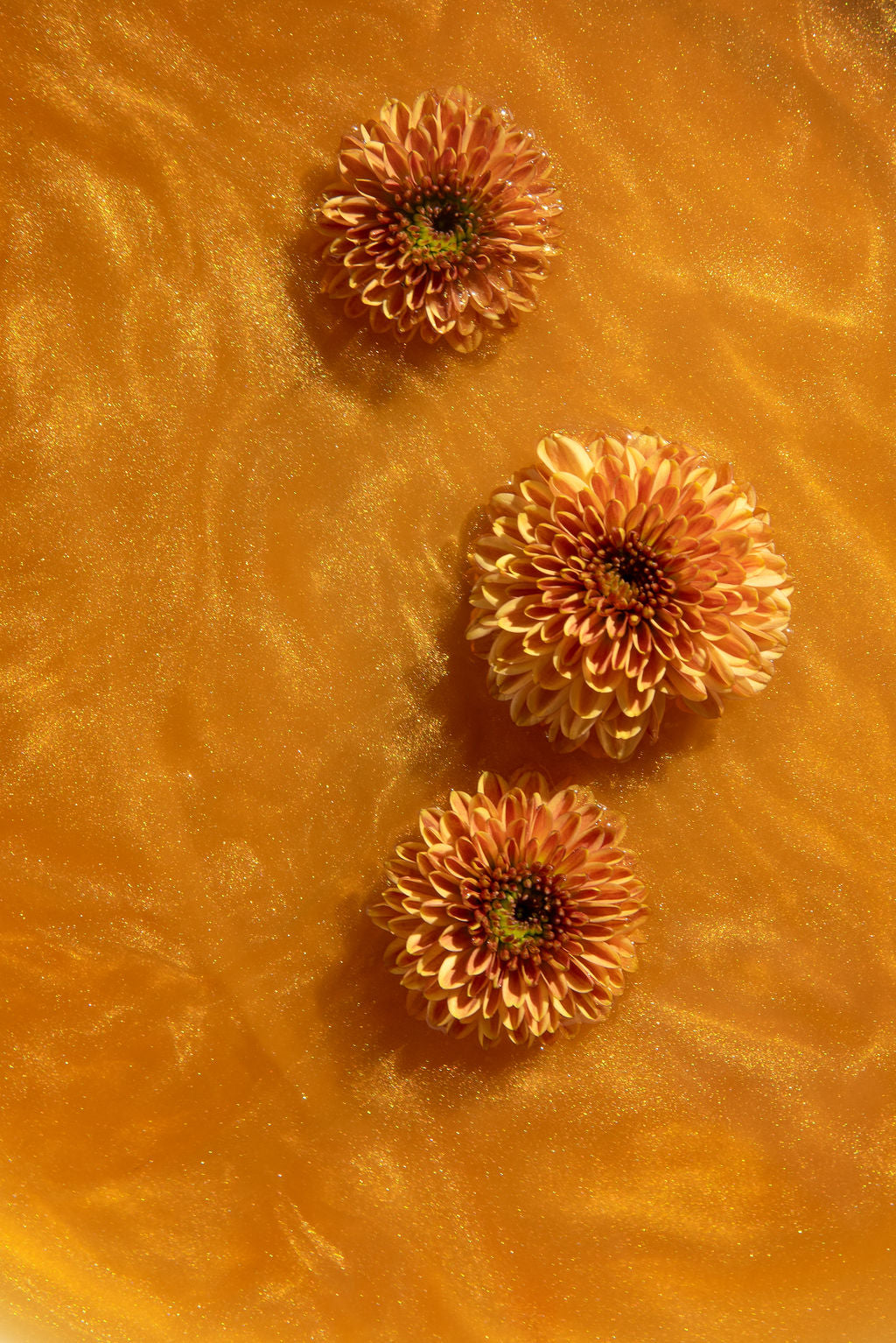 Golden Daydreams - Edible Glitter Infused Tea