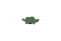 Leaves Star Leaf 14 Green