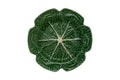 Cabbage Charger Plate 30.5