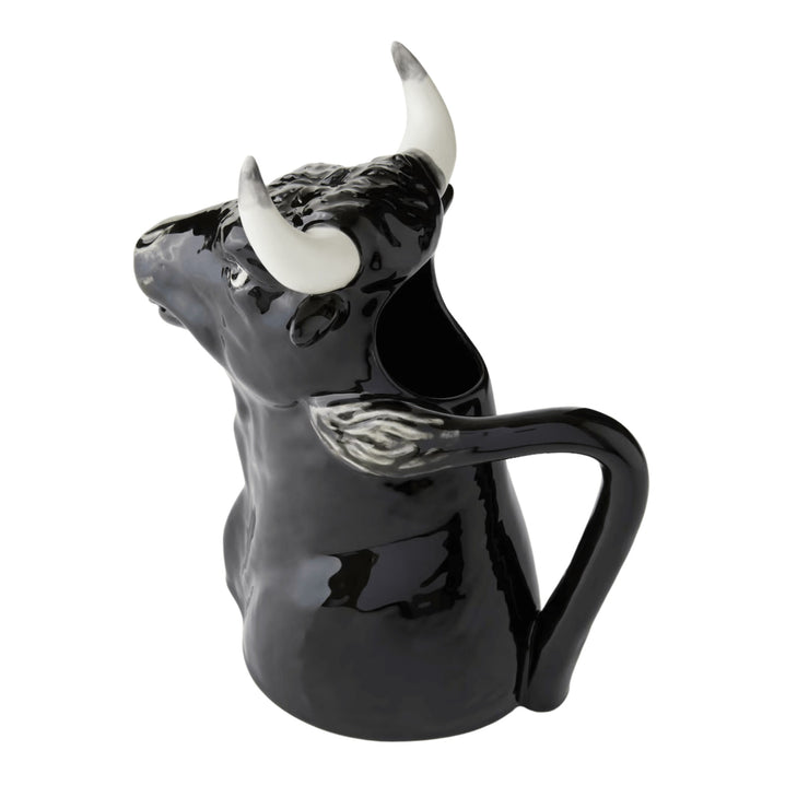 Ceramic Pitchers