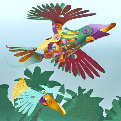 Clixo Tropical Birds