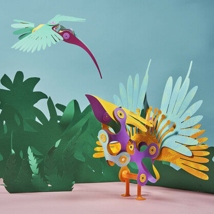 Clixo Tropical Birds