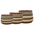 Eloise Bulb Basket - Olive