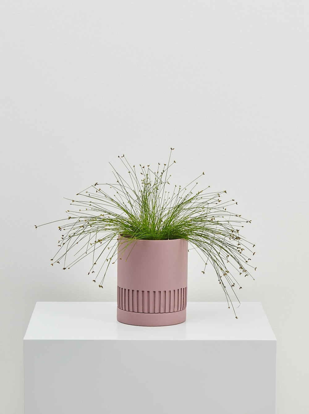 Etch Planter Was $65 NOW