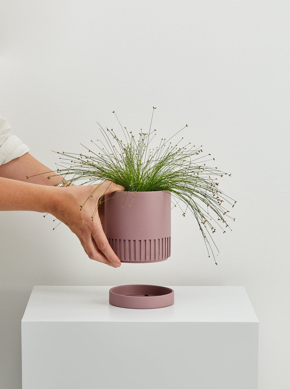 Etch Planter Was $65 NOW
