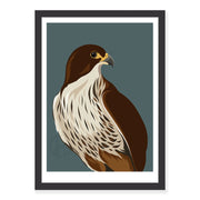 Wildlife Fine Art Print - Falcon