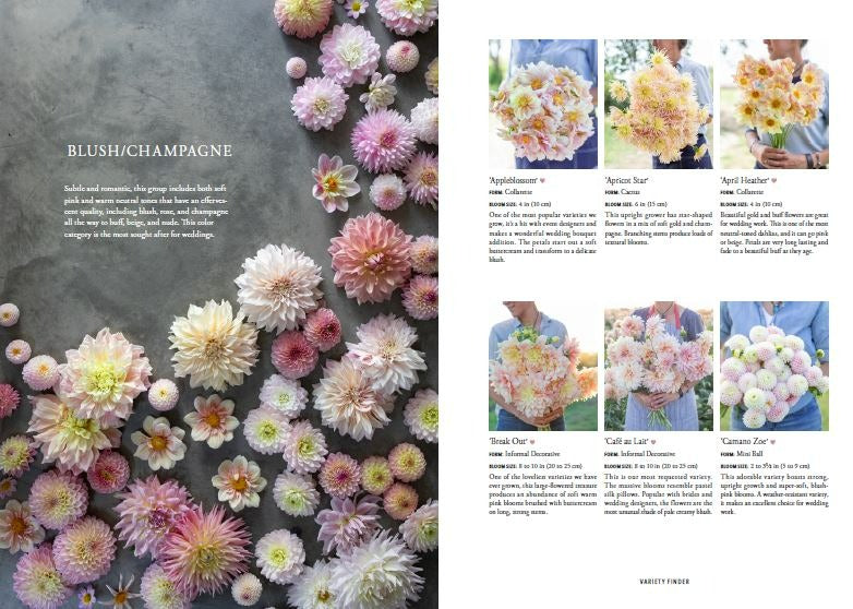Floret Farms - Discovering Dahlias
