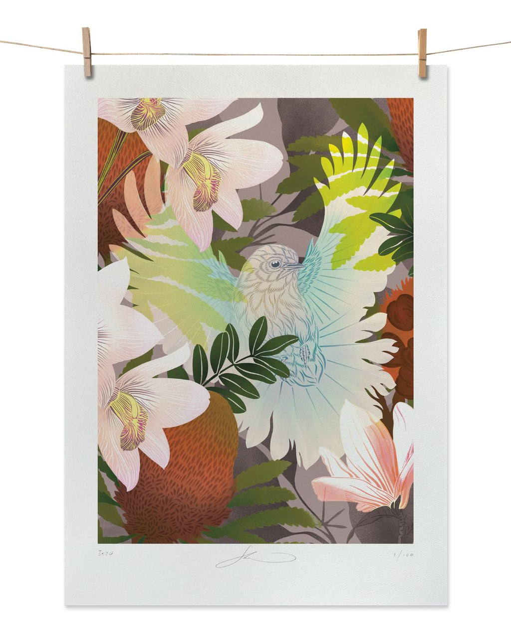 Flox Print - White Fantail & Banksia
