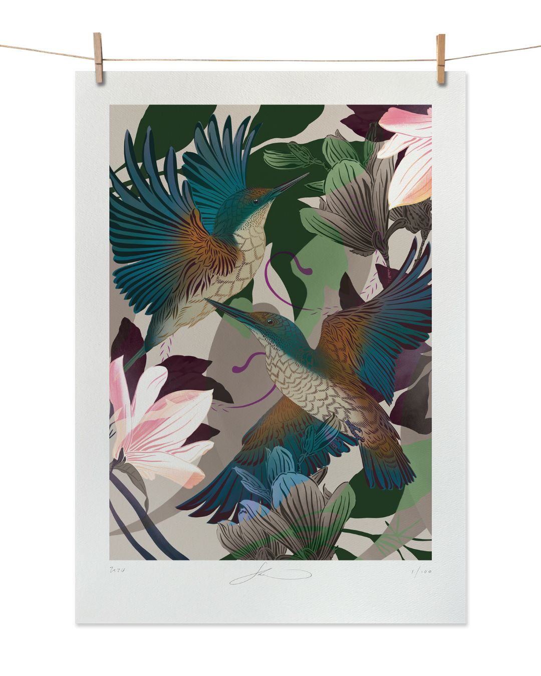 Flox Print - Evolution Kingfishers