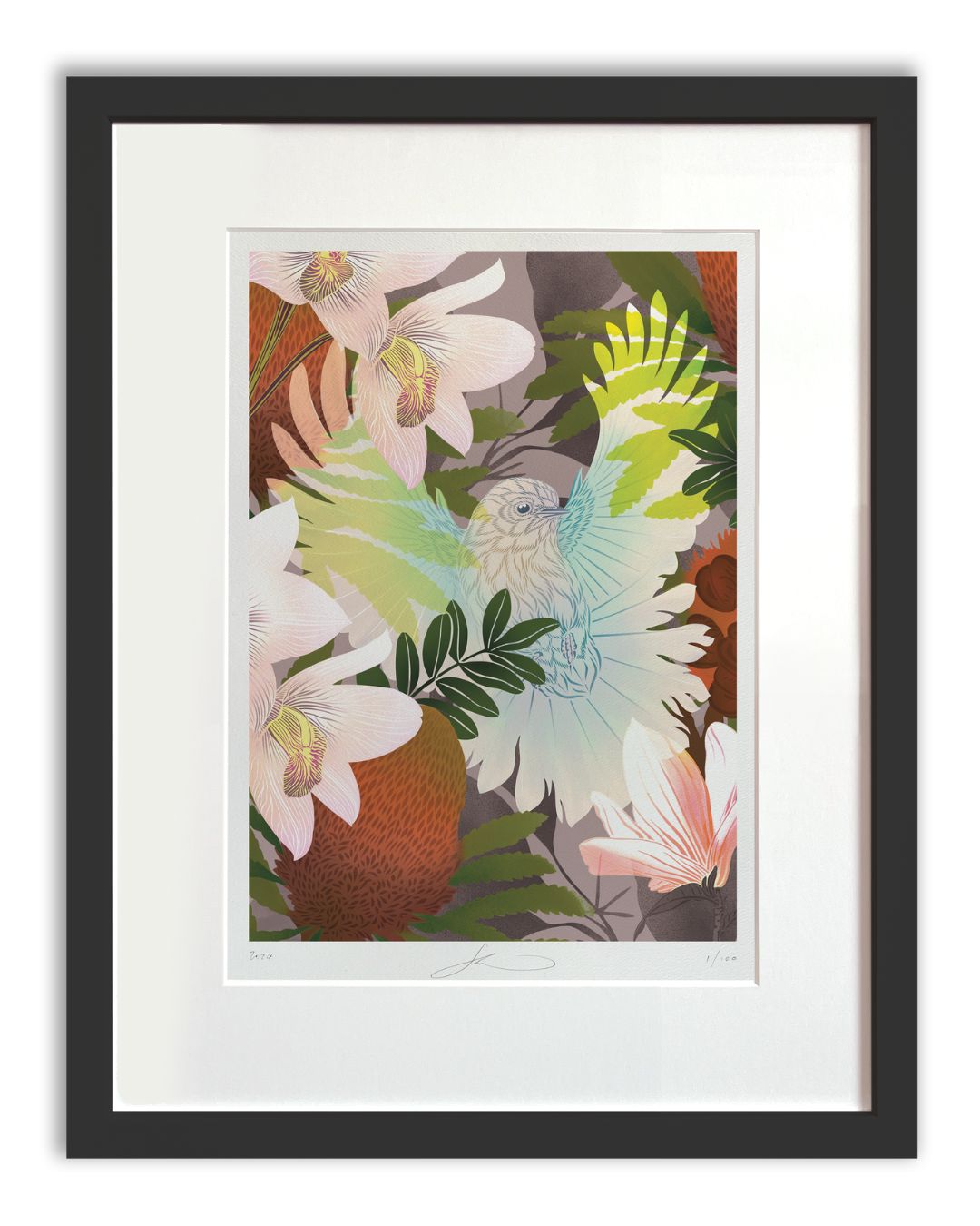 Flox Print - White Fantail & Banksia