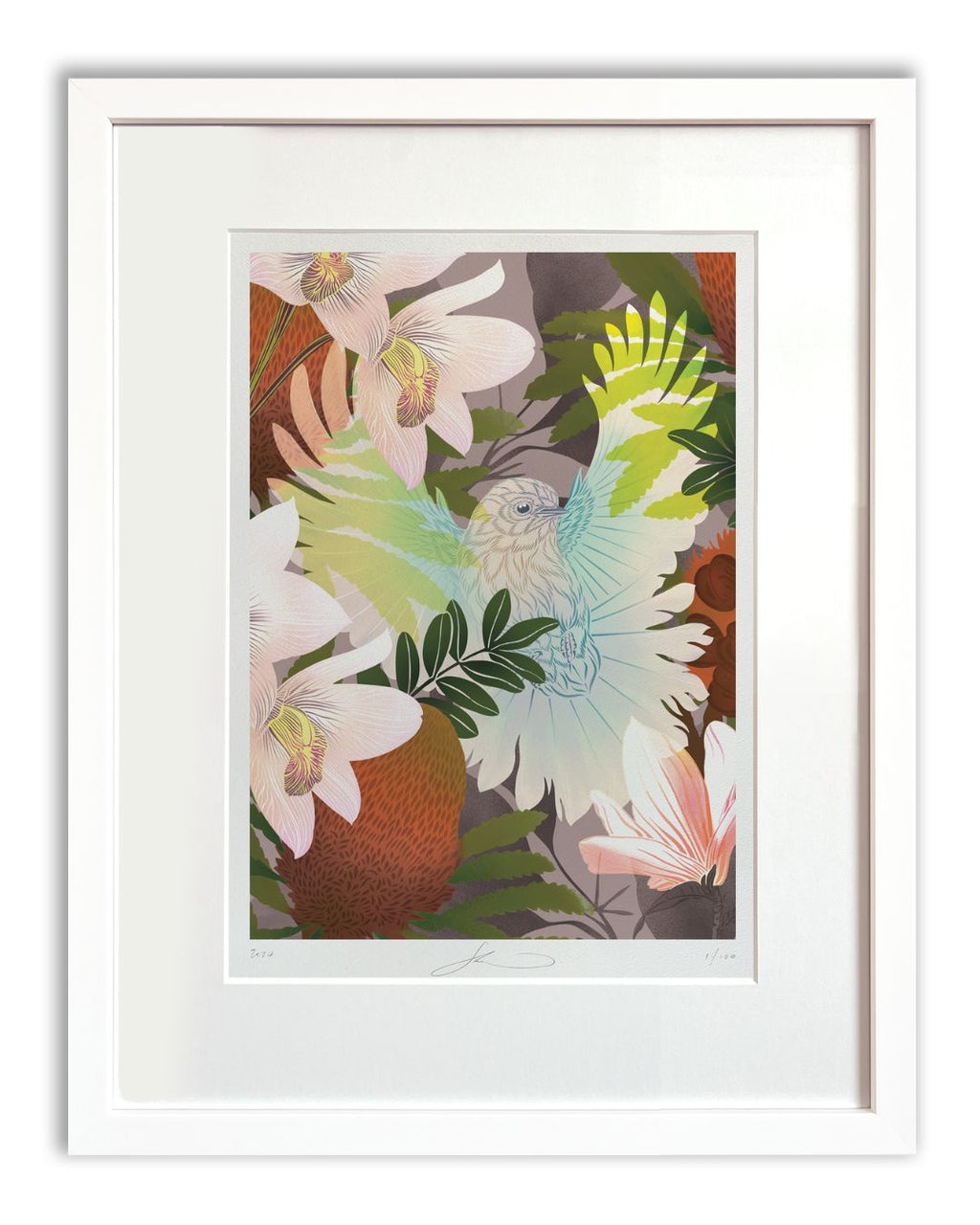 Flox Print - White Fantail & Banksia