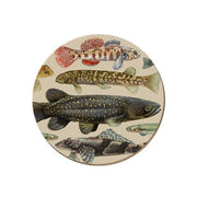 NZ Coaster - Assorted Styles