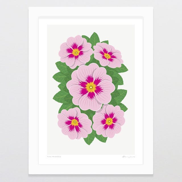 Glenn Jones Print - Pink Primrose