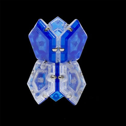 Speks Magnetic Pentagons
