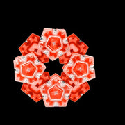 Speks Magnetic Pentagons