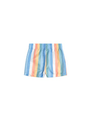 Beach Stripe Swim Shorts - Multi Stripe