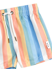 Beach Stripe Swim Shorts - Multi Stripe