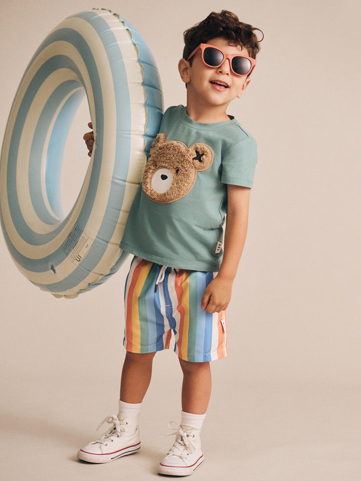Beach Stripe Swim Shorts - Multi Stripe