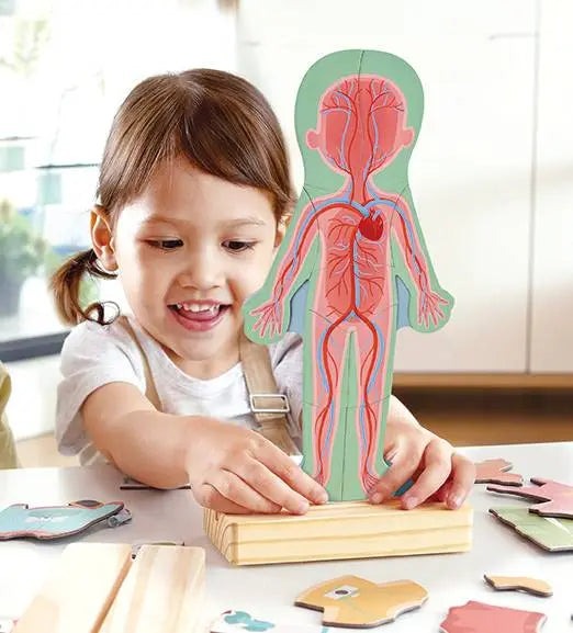 Hape Human Body Magnetic Puzzle