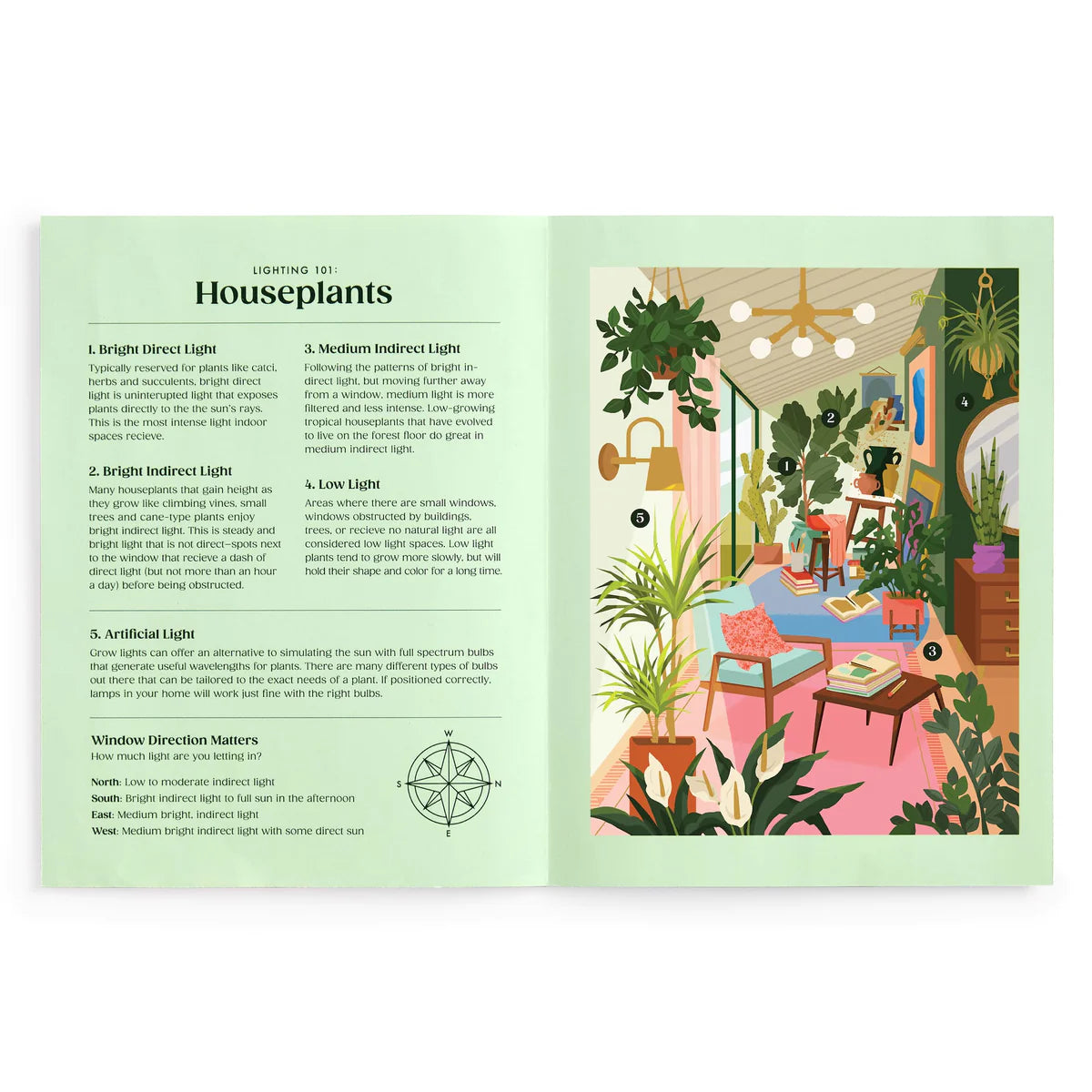 Lighting 101 Houseplants 500 Piece Book Puzzle