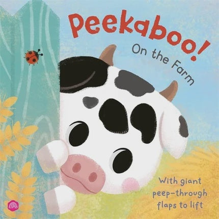 Push and Pull Board Book - Happy, Sad, Silly, Glad
