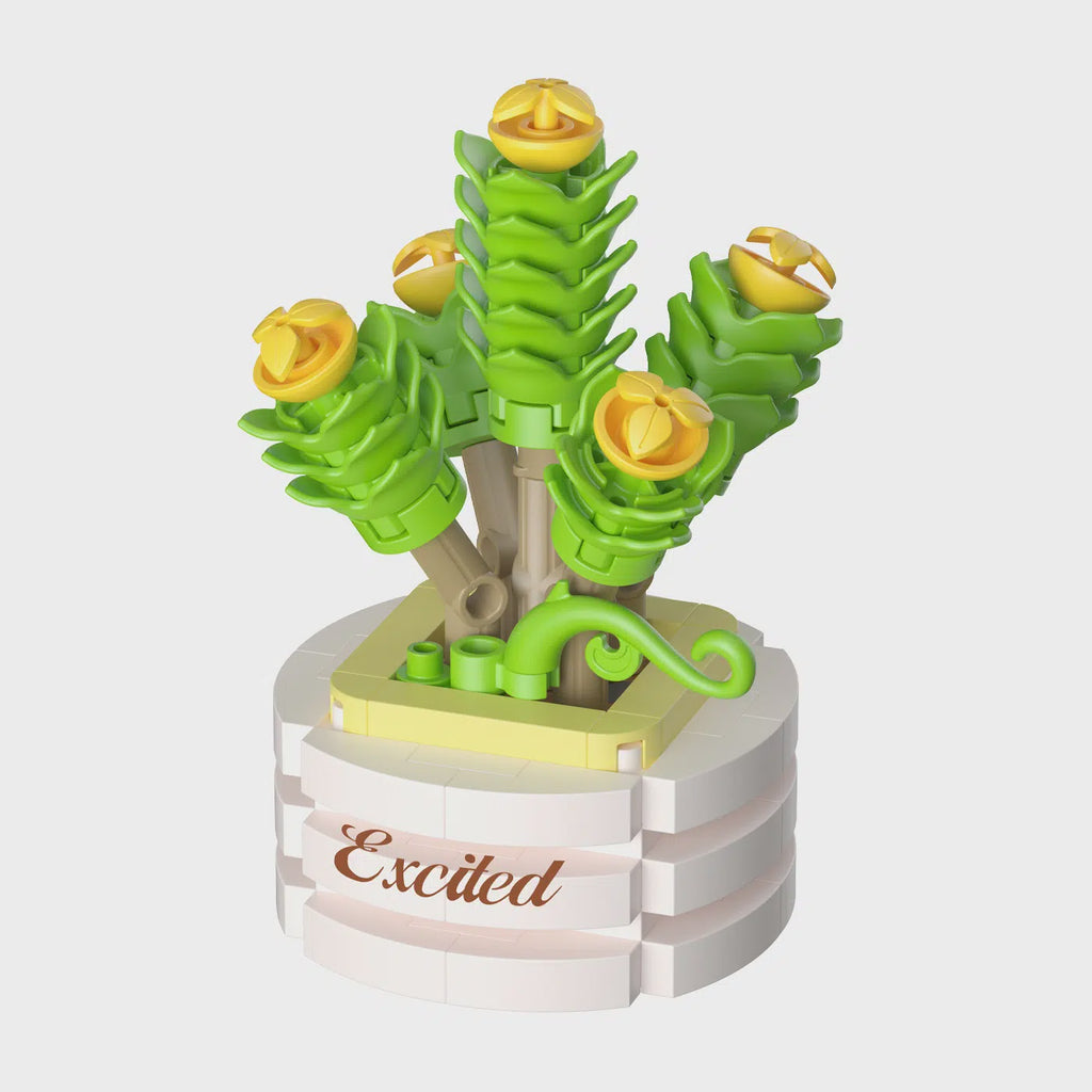 Koko Bloom Boutique - Potted Plants