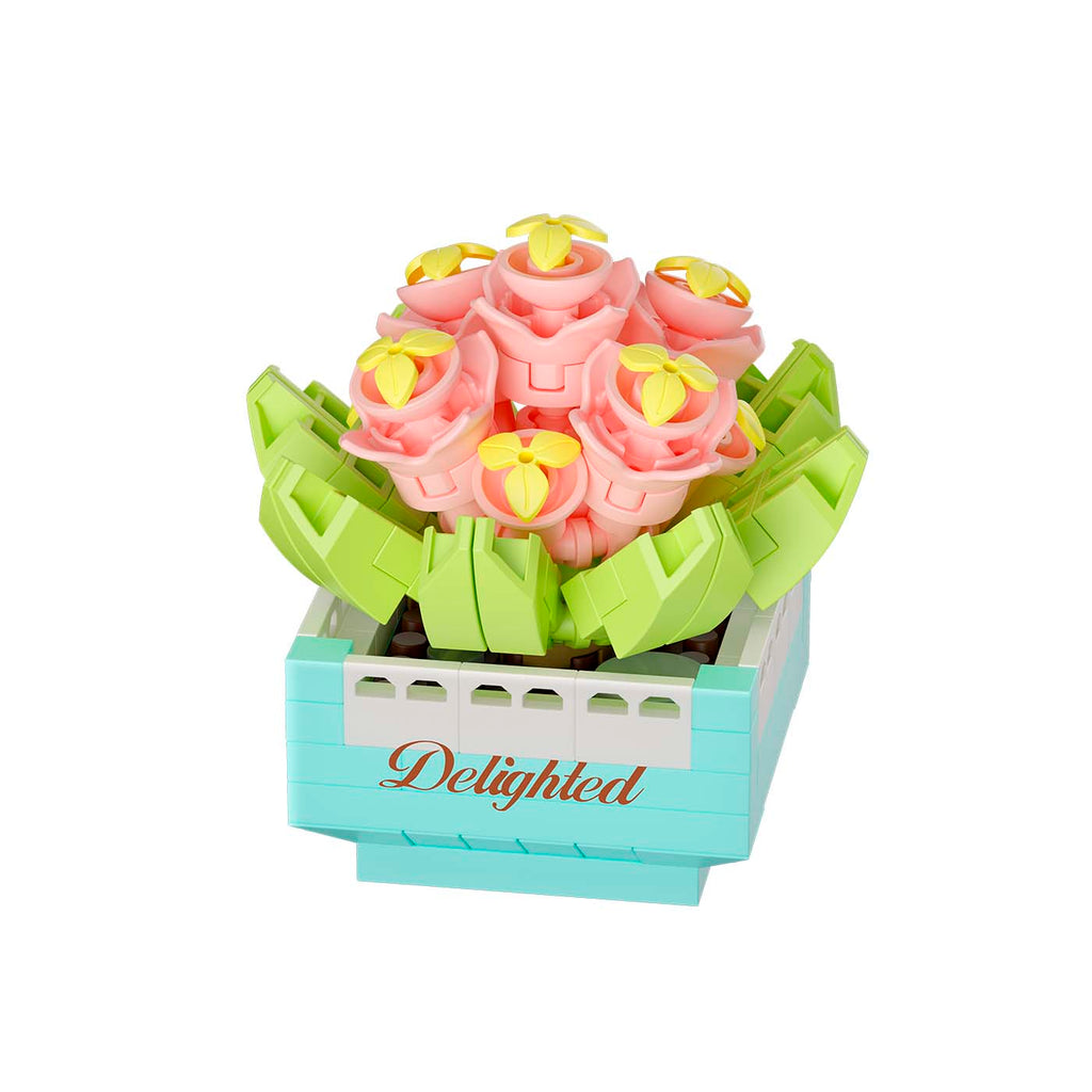 Koko Bloom Boutique - Potted Plants