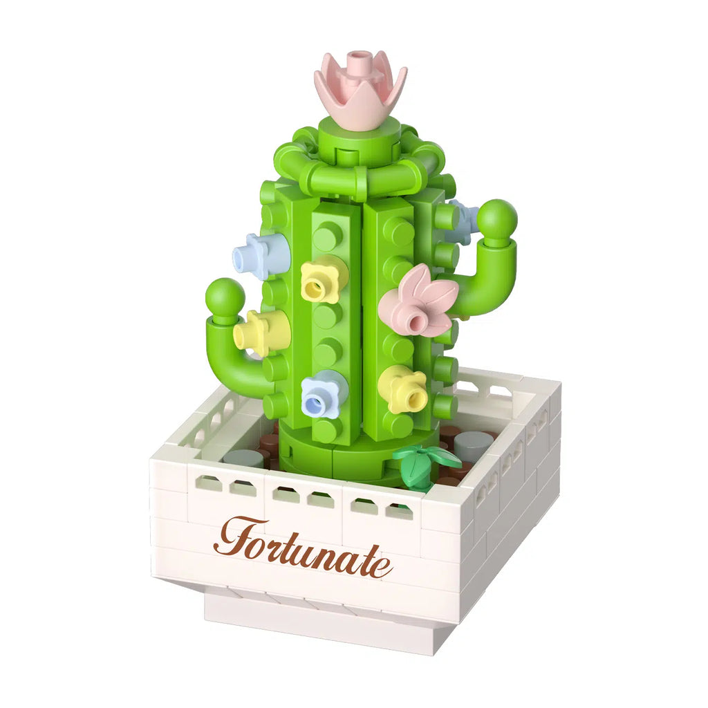 Koko Bloom Boutique - Potted Plants