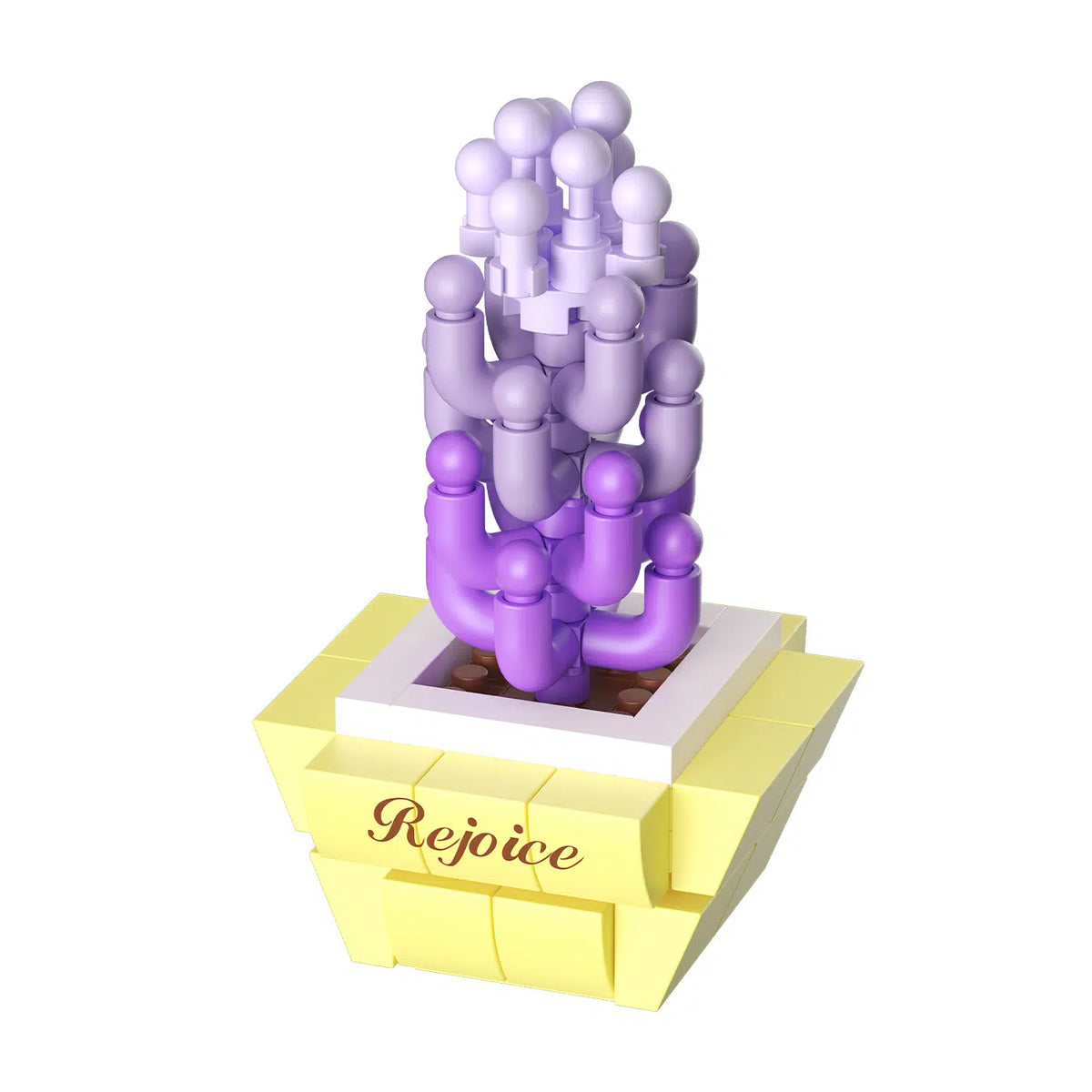Koko Bloom Boutique - Potted Plants