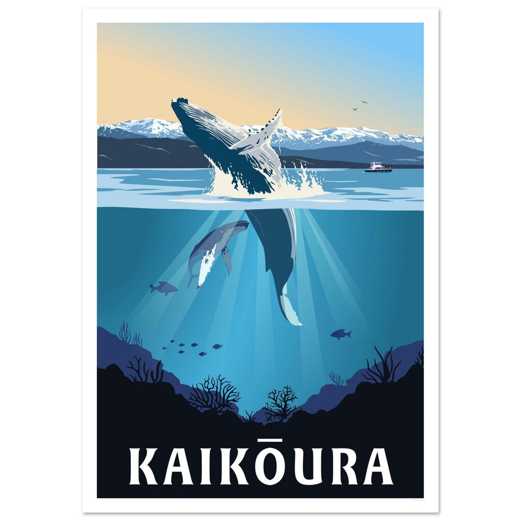 Kaikoura Whale Watching Print