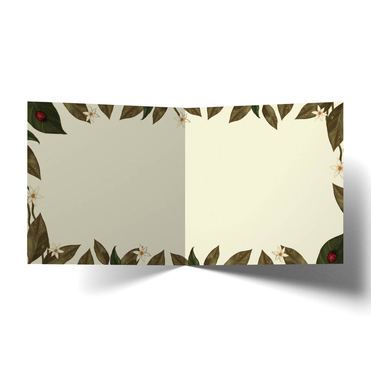 The Surrogate Baby Card