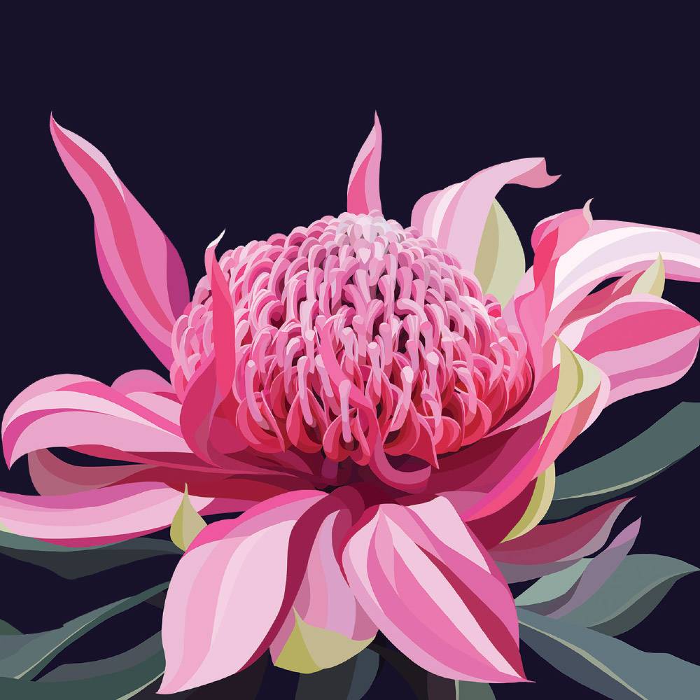 Blooming Waratah General Card