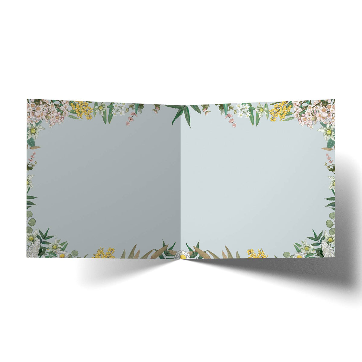 Sympathy Dove Card