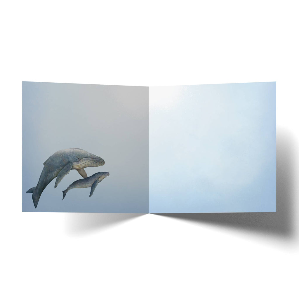 Congratulations Little One Card - Coming Soon