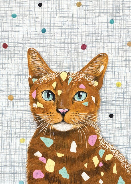 Lolly Cat