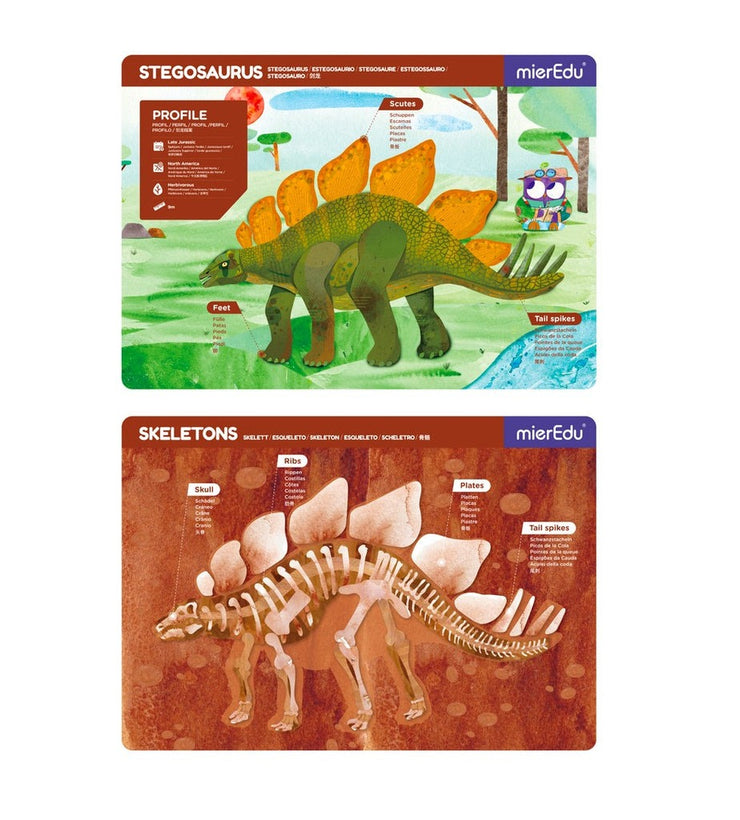Magnetic Pad - Stegosaurus