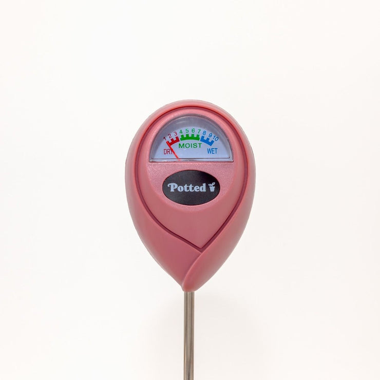 Indoor Moisture Meter