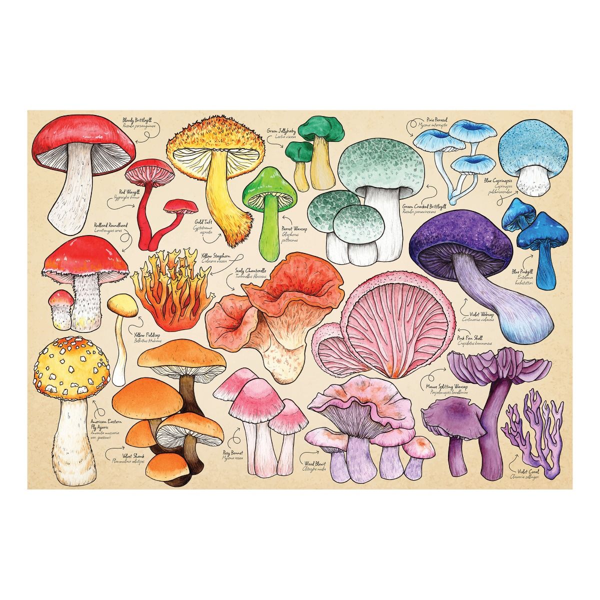 Tube Puzzle- 150 Piece