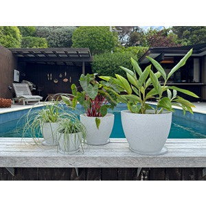 Nova Pot - White - Prices Reduced