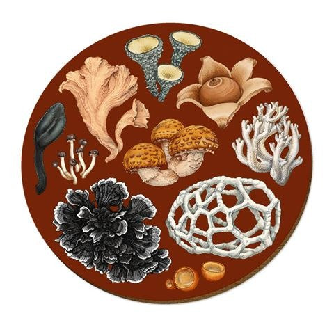 Placemat - Fungi Phellodon