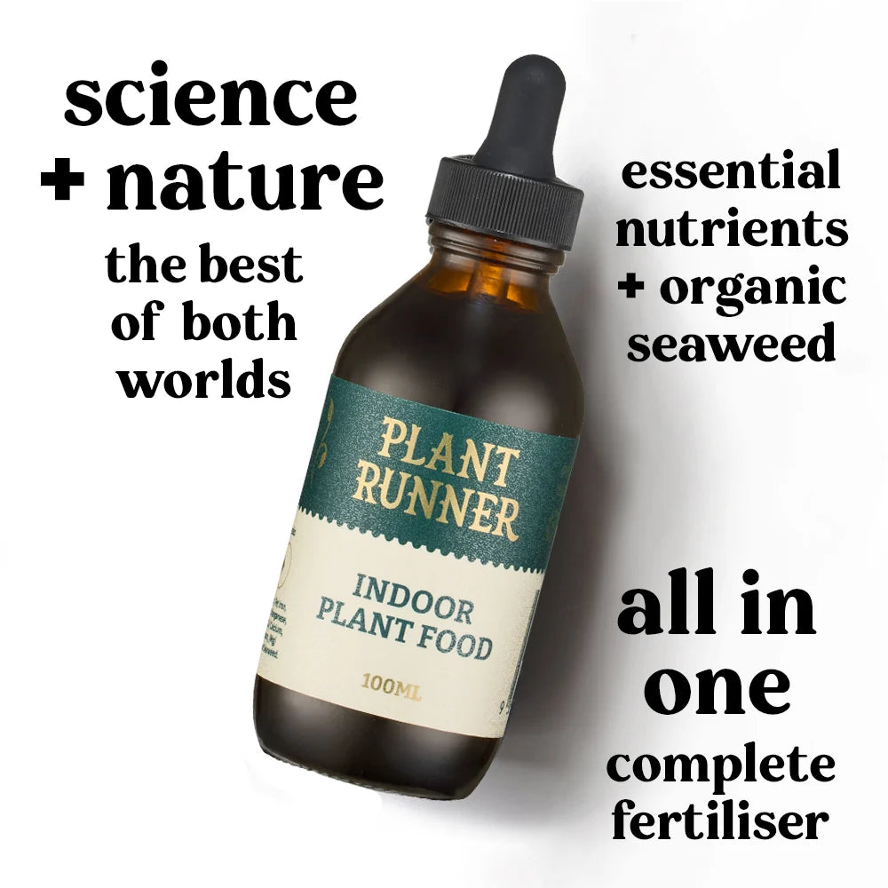 Indoor Plant Food