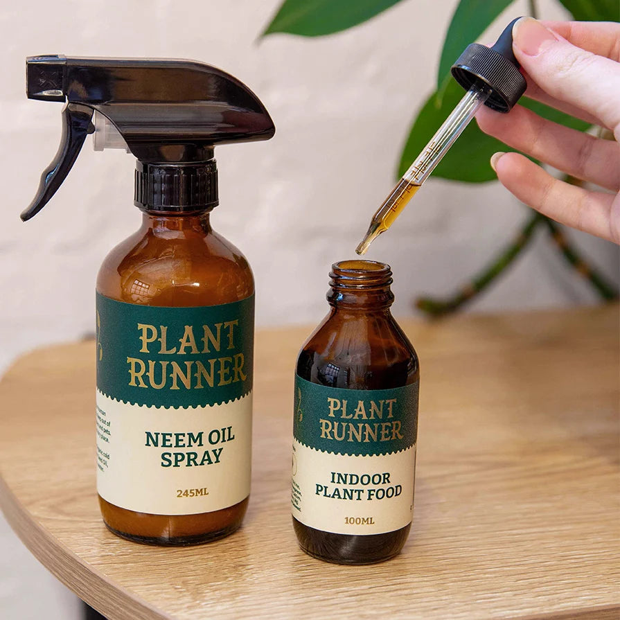 Indoor Plant Food