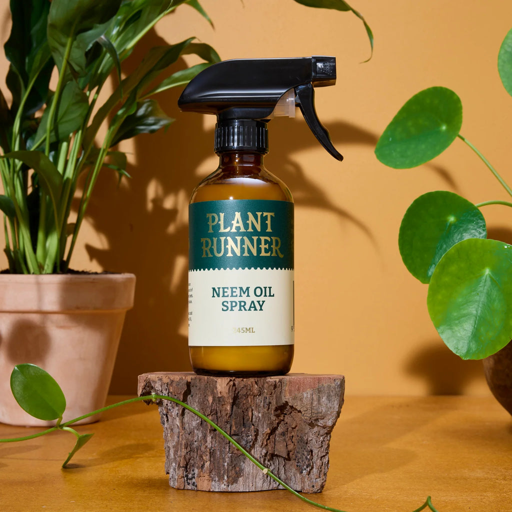 Neem Oil