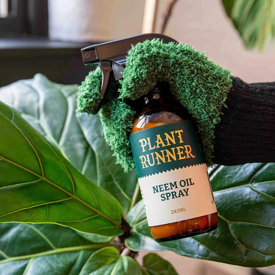 Neem Oil